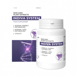 Indiva System (IT)