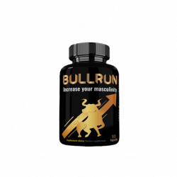 Bullrun (DE)